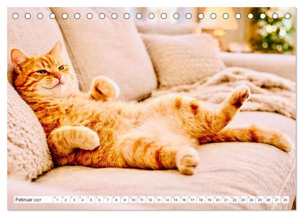 Produktbild: Rote Katzen (Tischkalender 2027 DIN A5 quer), CALVENDO Monatskalender
