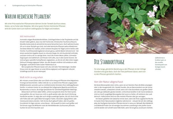 Produktbild: Heimische Pflanzen f&uuml;r den Garten