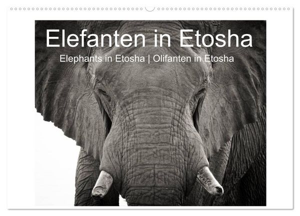 Produktbild: Elefanten in Etosha (Wandkalender 2026 DIN A2 quer), CALVENDO Monatskalender
