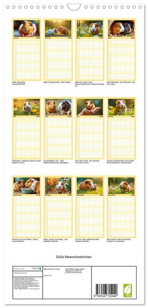 Produktbild: Familienplaner 2026 - S&uuml;&szlig;e Meerschweinchen mit 5 Spalten (Wandkalender, 21 x 45 cm) CALVENDO