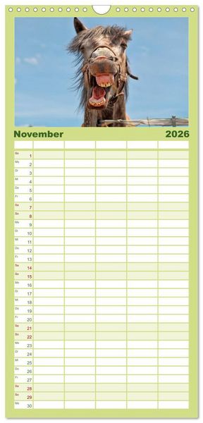 Produktbild: Familienplaner 2026 - Lustig und verr&uuml;ckt - der ganz andere Tierkalender mit 5 Spalten (Wandkalender, 21 x 45 cm) CALVENDO