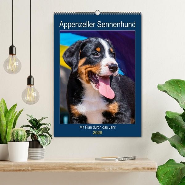 Produktbild: Appenzeller Sennenhund - Mit Plan durch das Jahr (Wandkalender 2026 DIN A2 hoch), CALVENDO Monatskalender