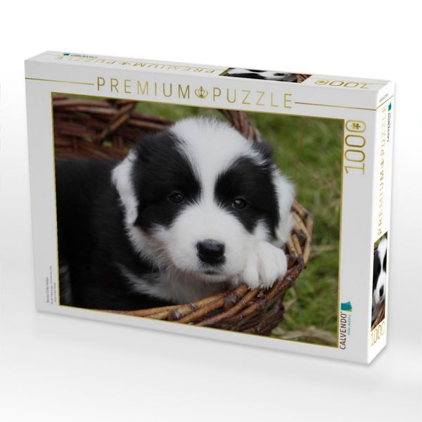 Produktbild: CALVENDO Puzzle Border Collie Welpe | 1000 Teile Lege-Gr&ouml;&szlig;e 64x48cm Foto-Puzzle f&uuml;r gl&uuml;ckliche Stunden