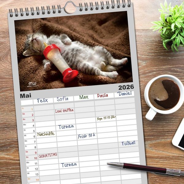 Produktbild: Familienplaner 2026 - Zauberhafte K&auml;tzchen mit 5 Spalten (Wandkalender, 21 x 45 cm) CALVENDO