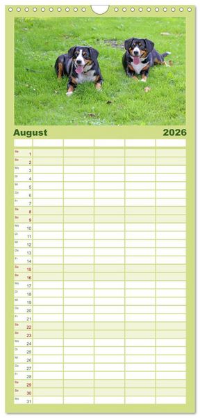 Produktbild: Familienplaner 2026 - Entlebucher Sennenhund - treue Freunde mit 5 Spalten (Wandkalender, 21 x 45 cm) CALVENDO