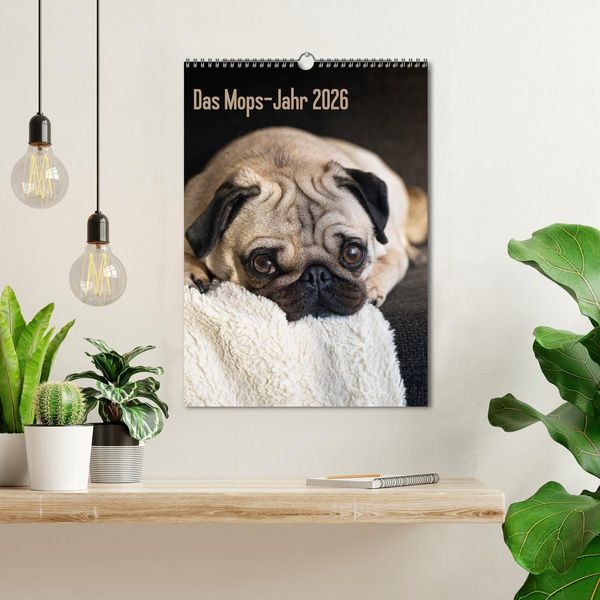 Produktbild: Das Mops-Jahr 2026 (Wandkalender 2026 DIN A3 hoch), CALVENDO Monatskalender