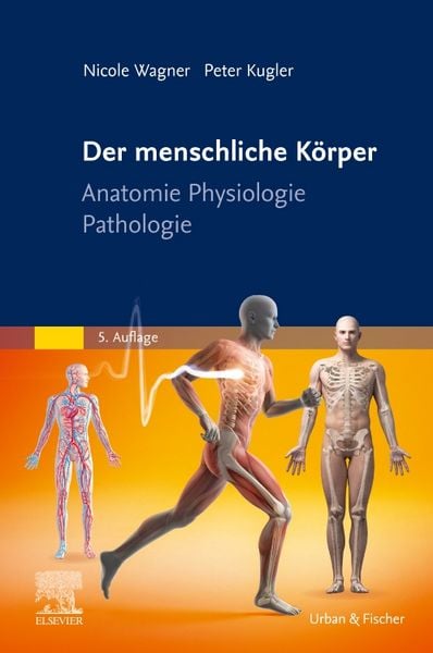 Der menschliche Körper, Gebundene Ausgabe von Nicole Wagner,Peter Kugler, Urban & Fischer in Elsevier, 978-3-437-25195-5
