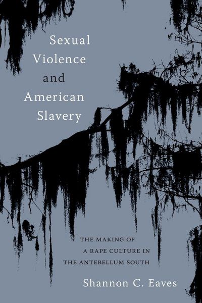 Produktbild: Sexual Violence and American Slavery