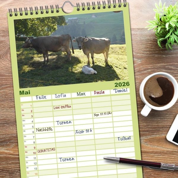 Produktbild: Familienplaner 2026 - K&uuml;he mit H&ouml;rnern mit 5 Spalten (Wandkalender, 21 x 45 cm) CALVENDO
