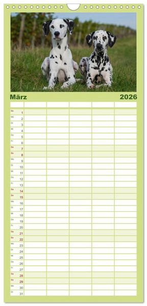 Produktbild: Familienplaner 2026 - Auf den Punkt - Dalmatiner mit 5 Spalten (Wandkalender, 21 x 45 cm) CALVENDO