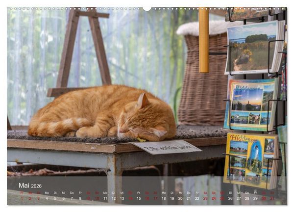 Produktbild: Inseelfeeling - Hiddensee (hochwertiger Premium Wandkalender 2026 DIN A2 quer), Kunstdruck in Hochglanz