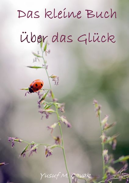Produktbild: Das kleine Buch &uuml;ber das Gl&uuml;ck