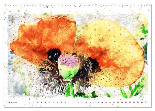 Produktbild: Mohnbl&uuml;ten in Aquarell (Wandkalender 2026 DIN A3 quer), CALVENDO Monatskalender
