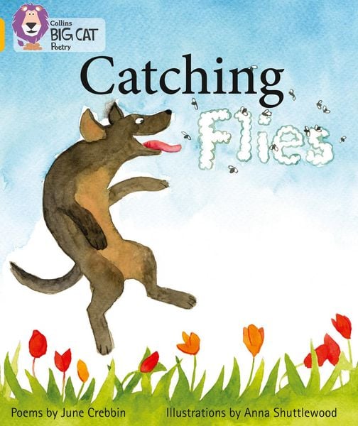 Produktbild: Big Cat - Catching Flies