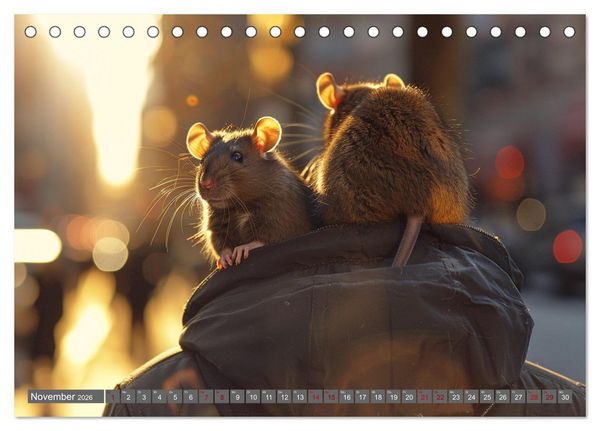 Produktbild: Mein bester Kumpel ist eine Ratte (Tischkalender 2026 DIN A5 quer), CALVENDO Monatskalender
