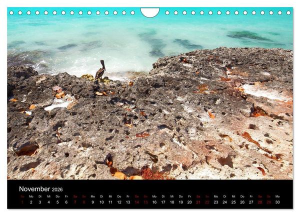Produktbild: Kuba Varadero 2026 Leben im Paradies (Wandkalender 2026 DIN A4 quer), CALVENDO Monatskalender