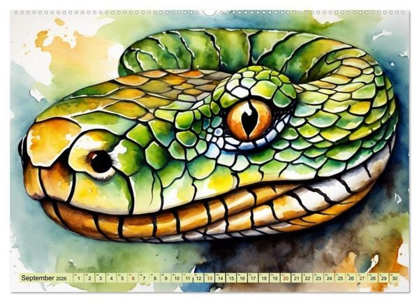 Produktbild: Farbenpr&auml;chtige Reptilien (Wandkalender 2026 DIN A2 quer), CALVENDO Monatskalender