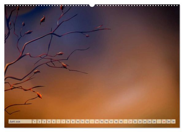Produktbild: Kalender, Fotos selbst einkleben, selbst gestalten (Wandkalender 2026 DIN A2 quer), CALVENDO Monatskalender