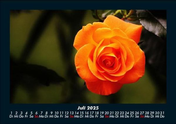 Produktbild: Blumenkalender 2025 Fotokalender DIN A5
