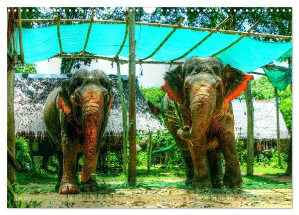 Produktbild: Thailands S&uuml;den (Wandkalender 2026 DIN A3 quer), CALVENDO Monatskalender