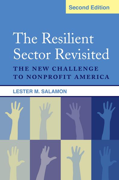 Produktbild: The Resilient Sector Revisited