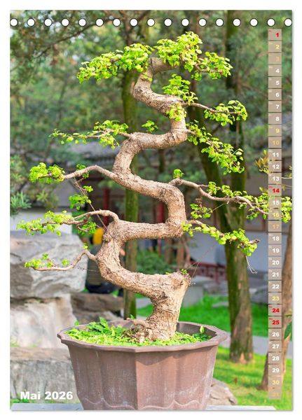 Produktbild: Bonsai: Gartenkunst im Kleinen (Tischkalender 2026 DIN A5 hoch), CALVENDO Monatskalender