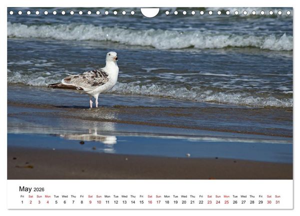 Produktbild: The Sea - A place for dreams (Wall Calendar 2026 DIN A4 landscape), CALVENDO 12 Month Wall Calendar