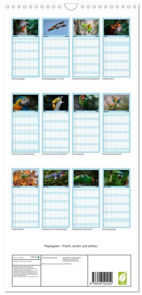 Produktbild: Familienplaner 2026 - Papageien - Frech, sch&ouml;n und schlau mit 5 Spalten (Wandkalender, 21 x 45 cm) CALVENDO
