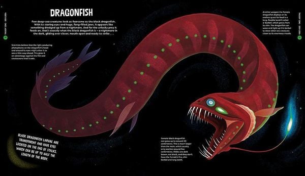Produktbild: University of Cambridge: Beasts from the Deep