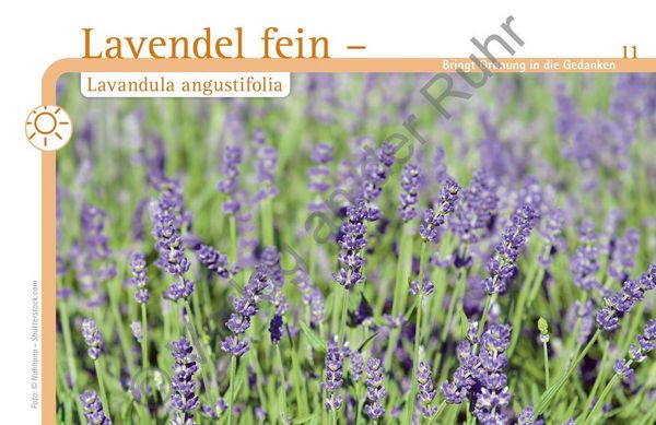 Produktbild: Aromapflege f&uuml;r Menschen mit Demenz