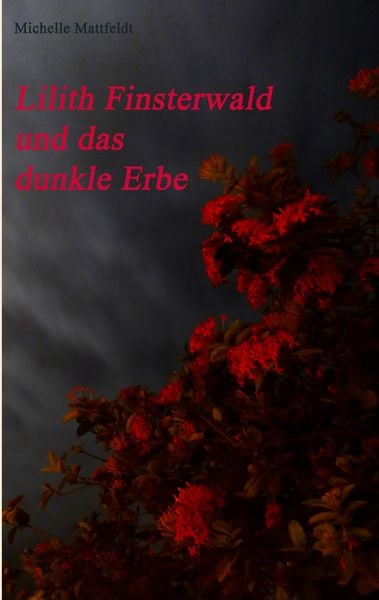 Produktbild: Lilith Finsterwald und das dunkle Erbe