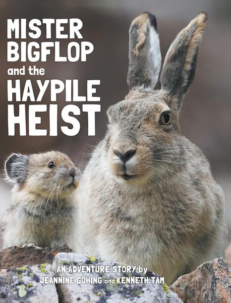 Produktbild: Mister Bigflop and the Haypile Heist