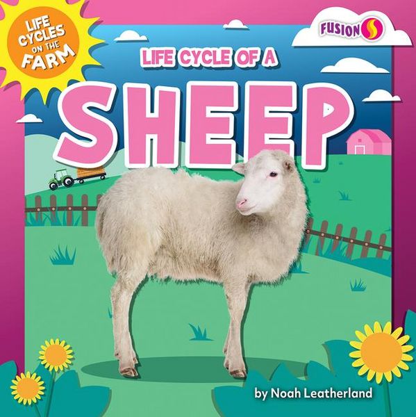 Produktbild: Life Cycle of a Sheep