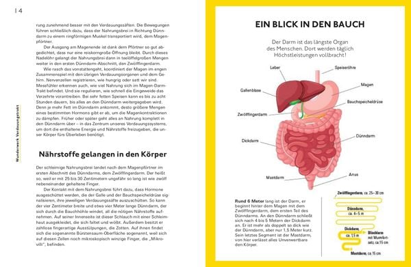 Produktbild: Bye bye, Reizdarm!
