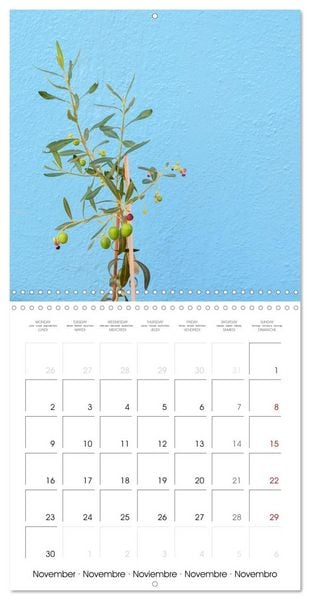 Produktbild: Leaves and flowers of Burano (Wall Calendar 2026 12 &times; 12 Inch) CALVENDO 12 Month Wall Calendar