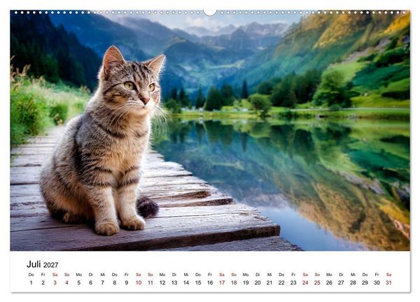 Produktbild: Schnurren & Streifen - Zw&ouml;lf Monate mit Tigerkatzen (Wandkalender 2027 DIN A2 quer), CALVENDO Monatskalender