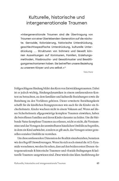 Produktbild: Praxisbuch Entwicklungstrauma heilen