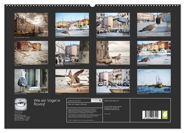 Produktbild: Wie ein Vogel in Rovinj! (hochwertiger Premium Wandkalender 2026 DIN A2 quer), Kunstdruck in Hochglanz