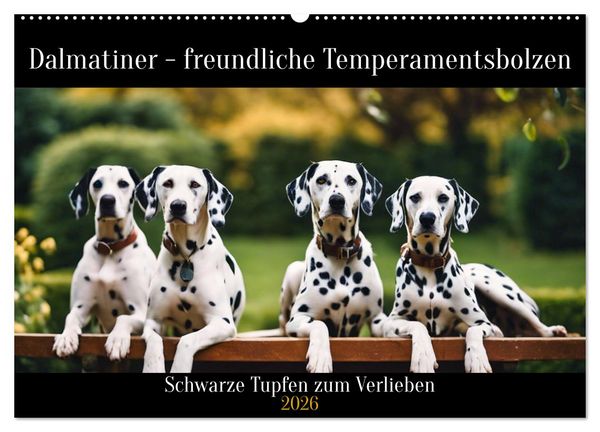 Produktbild: Dalmatiner - freundliche Temperamentsbolzen (Wandkalender 2026 DIN A2 quer), CALVENDO Monatskalender