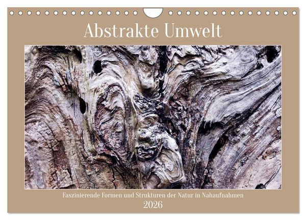Abstrakte Umwelt (Wandkalender 2026 DIN A4 quer), CALVENDO Monatskalender
