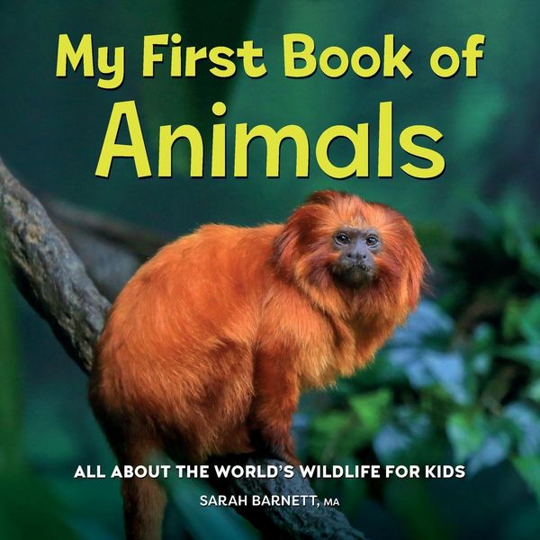 Produktbild: My First Book of Animals