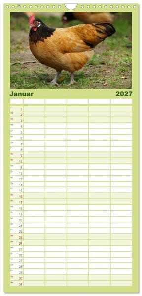 Produktbild: Familienplaner 2027 - Die Welt der H&uuml;hner mit 5 Spalten (Wandkalender, 21 x 45 cm) CALVENDO