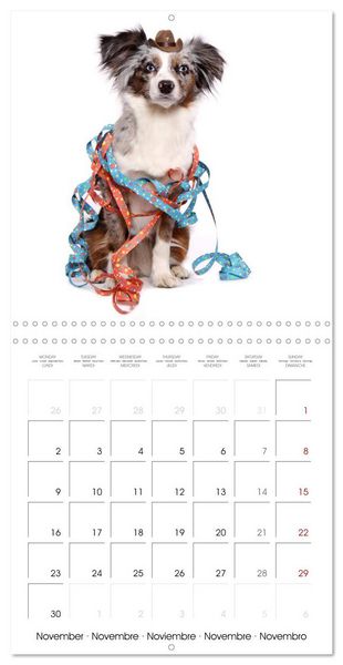 Produktbild: Cute Funny Dogs (Wall Calendar 2026 12 &times; 12 Inch) CALVENDO 12 Month Wall Calendar