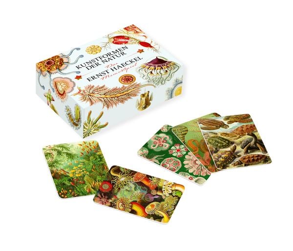 Produktbild: Das Ernst-Haeckel-Memo-Spiel