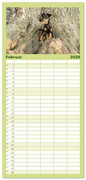 Produktbild: Familienplaner 2026 - Deutscher Terrier - ein leidenschaftlicher J&auml;ger mit 5 Spalten (Wandkalender, 21 x 45 cm) CALVENDO