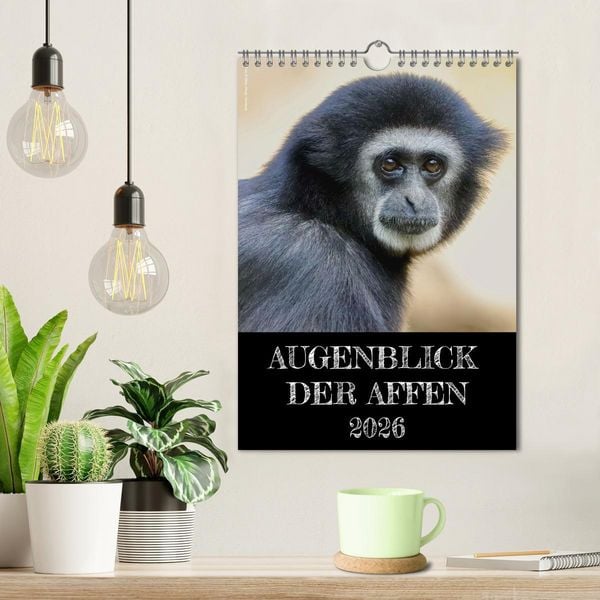 Produktbild: Augenblick der Affen 2026 (Wandkalender 2026 DIN A4 hoch), CALVENDO Monatskalender