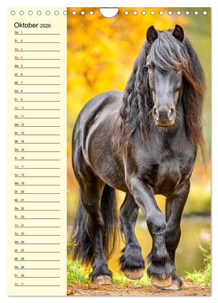 Produktbild: Zauber der Ponys. Kleine Pferde in der Natur (Wandkalender 2026 DIN A4 hoch), CALVENDO Monatskalender