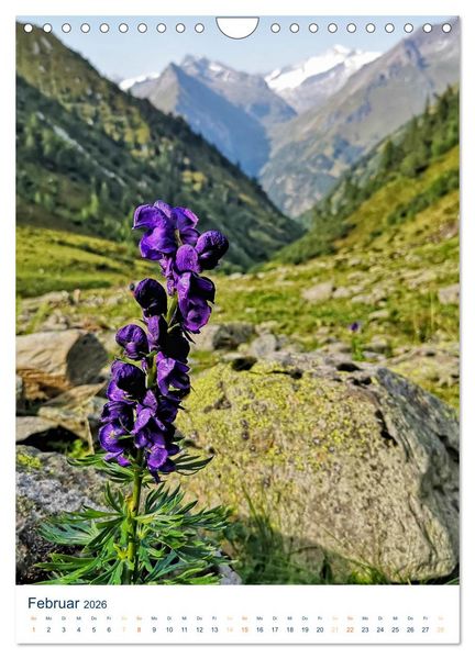 Produktbild: Sommer in &Ouml;sterreich - sonnige Tage in den Bergen (Wandkalender 2026 DIN A4 hoch), CALVENDO Monatskalender