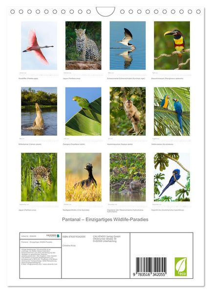 Produktbild: Pantanal &ndash; Einzigartiges Wildlife-Paradies (Wandkalender 2026 DIN A4 hoch), CALVENDO Monatskalender