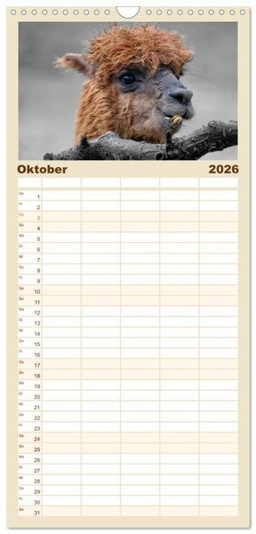 Produktbild: Familienplaner 2026 - Alpaka Gesichter mit 5 Spalten (Wandkalender, 21 x 45 cm) CALVENDO